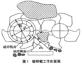 破碎辊工作剖面图